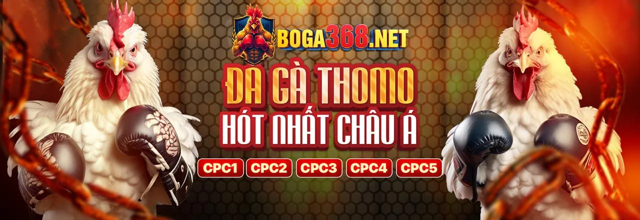 Đá gà trực tuyến kịch tính tại onbet2 link vào